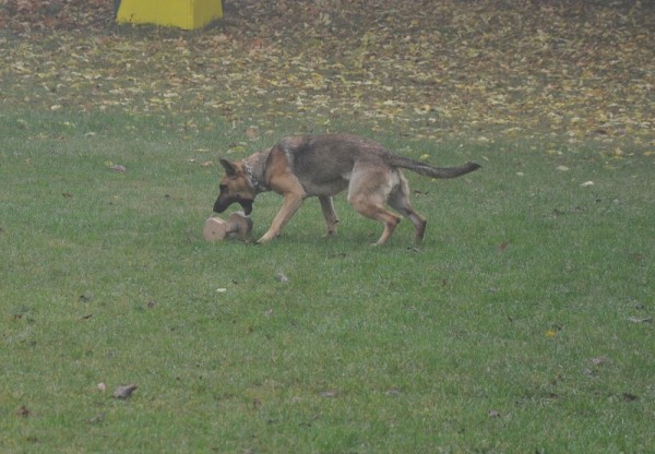 Zvod o pohr msta Sadsk 20.10.2012